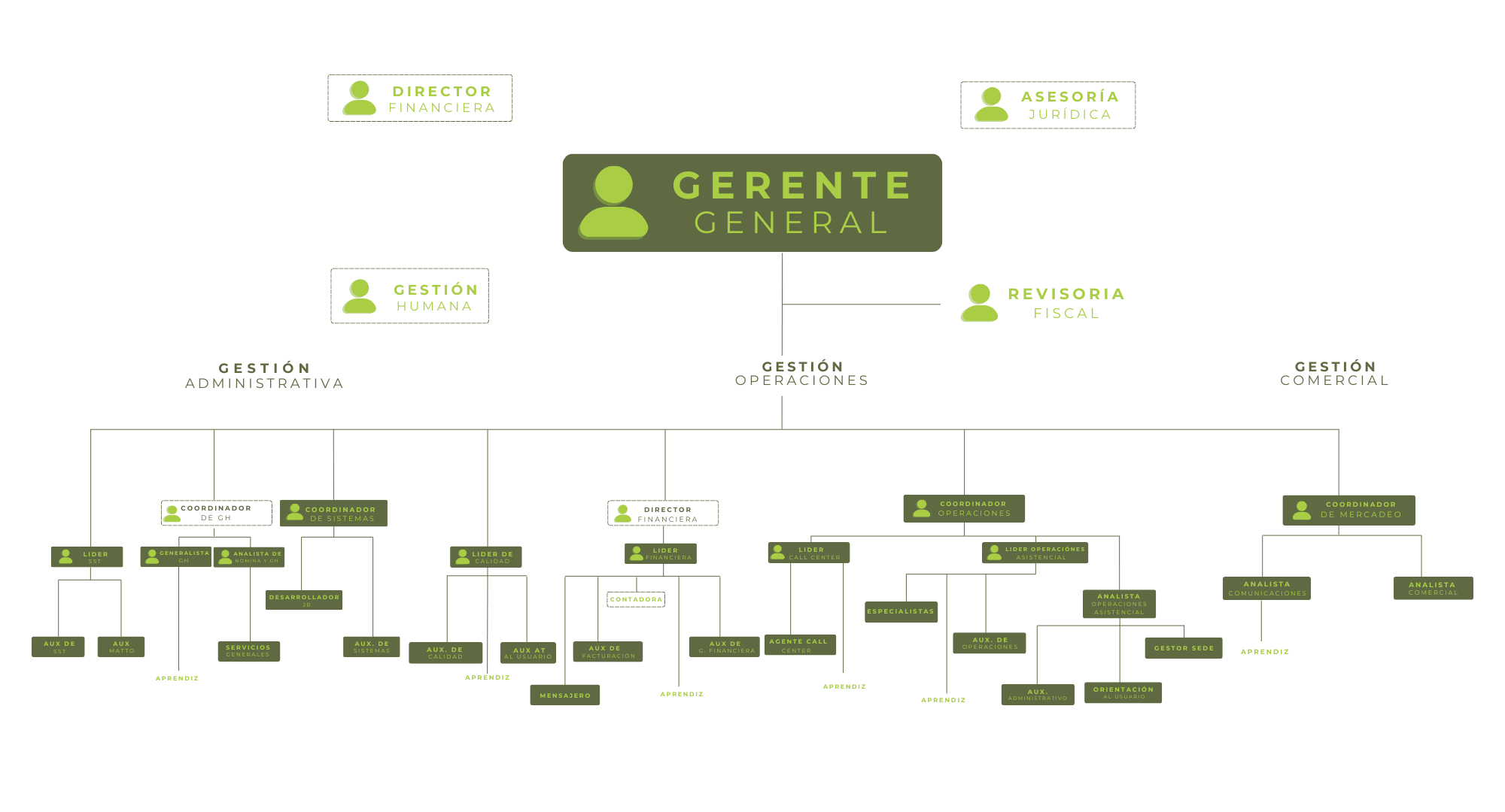 Estructura Organizacional